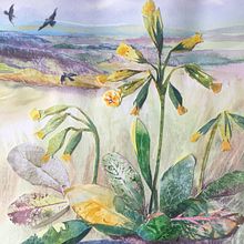 Cowslips on North Downs. Traditional illustration, Drawing, Watercolor Painting, Ink Illustration, and Naturalistic Illustration project by louisedoveart - 05.14.2021
