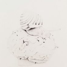 Snail on White Mushroom . Traditional illustration, and Pencil Drawing project by Sara Vasquez - 04.07.2021