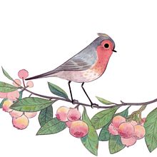 Birds. Traditional illustration, Fine Arts, Painting, and Editorial Illustration project by Mai Egurza - 05.15.2021