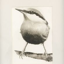 Cours de Sarah Stokes : Piaf en NB. Traditional illustration, Watercolor Painting, Realistic Drawing, and Naturalistic Illustration project by pcharron36 - 05.15.2021
