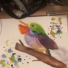 Cuban Tody in Watercolor with Gouache and Gel Pen. Un progetto di Illustrazione tradizionale di Shina - 15.05.2021