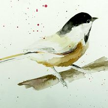 Mon projet du cours : Techniques artistiques d'aquarelle pour illustrer les oiseaux. Traditional illustration, Watercolor Painting, Realistic Drawing, and Naturalistic Illustration project by colette - 05.10.2021