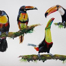 My project in Artistic Watercolor Techniques for Illustrating Birds course - Toucans. Traditional illustration, Watercolor Painting, Realistic Drawing, and Naturalistic Illustration project by Ylenia Vimercati Molano - 05.16.2021
