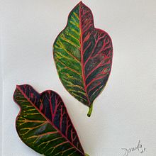 Mi Proyecto del curso: Acuarela botánica: ilustra la anatomía de las flores. Un progetto di Illustrazione tradizionale, Belle arti, Pittura, Disegno, Pittura ad acquerello e Illustrazione botanica di Daniela Paredes - 16.05.2021