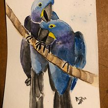 Mi Proyecto del curso: Acuarela artística para ilustración de aves. Projekt z dziedziny Trad, c, jna ilustracja, Malowanie akwarelą, Ilustracja naturalist, czna, R, sunek realist i czn użytkownika Desirée Serna - 16.05.2021