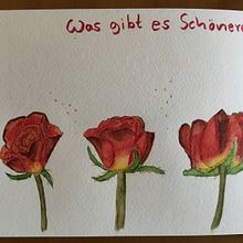 Mein Kursprojekt: Botanisches Zeichenheft: ein meditativer Ansatz. Een project van Traditionele illustratie,  Schetsen,  Tekening, Aquarelschilderen,  Botanische illustratie y Sketchbook van Ulrike Stich - 18.05.2021