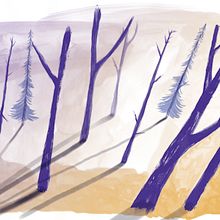 Grounding. Traditional illustration, and Children's Illustration project by Tamara Webster - 08.29.2018