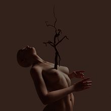 Estiagem do sentir.. Photograph, Photographic Composition, and 3D project by Paulo Abreu - 05.19.2021