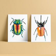 Insectario . % eluguina tarafından hazırlanan Geleneksel illüstras, Ve on projesi - 05.24.2021