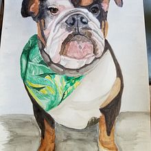 My project in Experimental Watercolor Techniques for Beginners course. Traditional illustration, Fine Arts, Watercolor Painting, and Naturalistic Illustration project by barb_lambert - 05.18.2021