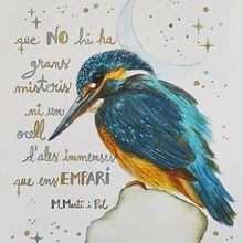 Mi Proyecto del curso: Ilustración naturalista de aves con acuarela. Projekt z dziedziny Trad, c, jna ilustracja, Malowanie akwarelą, R, sunek realist, czn, Ilustracja naturalist i czna użytkownika Núria Puig Esteban - 21.05.2021