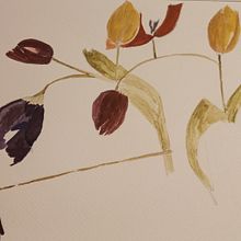 TULIPS. Traditional illustration project by Cliona Ryan - 05.22.2021