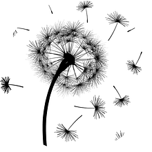 Blog: Dandelion. Projekt z dziedziny Marketing, Web design, Pisanie, Cop, writing, Marketing c, frow, Marketing treści,  e-commerce, Komunikacja i Growth Marketing użytkownika Nathaly Sanabria - 20.05.2021