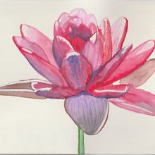 Mi Proyecto del curso: Ilustración botánica con acuarela. Traditional illustration, Fine Arts, Painting, Drawing, Watercolor Painting, and Botanical Illustration project by Sandra Cabrera Patiño - 05.23.2021