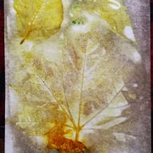 My project in Botanical Printing on Fabric and Paper course. Arts, Crafts, Fashion Design, DIY, Textile D, and eing project by Marina Seme Deskar - 05.23.2021