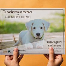 Creación de línea gráfica para Centro Canino Zurbano. Un proyecto de Diseño de Ainhoa Sarmiento - 01.01.2016