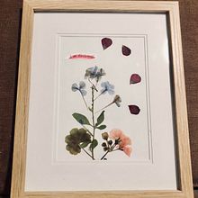 Mi Proyecto del curso: Técnicas básicas de prensado botánico. Un progetto di Artigianato, Belle arti, Collage e DIY di dagudelog1 - 24.05.2021