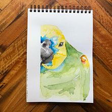Pepo. Un progetto di Illustrazione tradizionale, Belle arti, Pittura, Bozzetti, Disegno, Disegno realistico, Disegno artistico e Pittura ad acquerello di Carolina Bottino - 03.02.2021