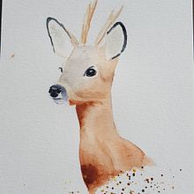 Roedeer in watercolour. Watercolor Painting project by Henrieke Wiebenga - 05.12.2021