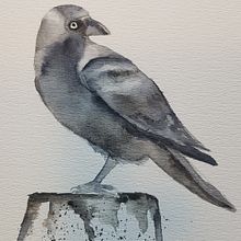 Preparation finale project. Watercolor Painting project by Henrieke Wiebenga - 05.24.2021