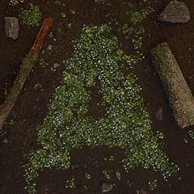 36 Days of Calm. Motion Graphics, 3D, e Animação projeto de Michael Tierney - 19.05.2021