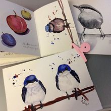 Mein Kursprojekt: Illustriere Vögel mit expressiven Aquarelltechniken. Traditional illustration, Watercolor Painting, Realistic Drawing, and Naturalistic Illustration project by Sandra - 05.25.2021