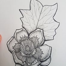 Flowers in pen. Drawing, and Botanical Illustration project by Stephen Tobin - 05.26.2021