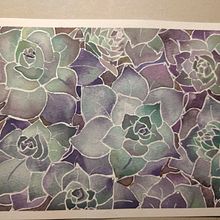 Mi Proyecto del curso: Estudio de suculentas en acuarela. Un proyecto de Ilustración tradicional, Bellas Artes, Pintura, Pintura a la acuarela y Teoría del color de Rocío Villalobos Ovando - 20.05.2021