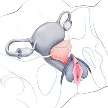 Under pleasure. Traditional illustration, Editorial Design, Infographics, and Digital Illustration project by Noelia de Alda - 05.26.2021