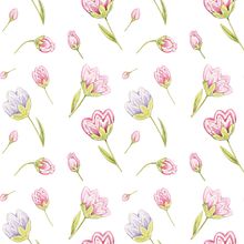 Pattern "Tulipanes" by Paz Pérez De las casas. Design, Traditional illustration, Graphic Design, Industrial Design, Packaging, Paper Craft, Pattern Design, Creativit, Poster Design, Logo Design, Watercolor Painting, Printing, Artistic Drawing, and Botanical Illustration project by Paz Pérez De las casas - 04.15.2021