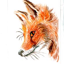 Mi Proyecto del curso: Técnicas experimentales de acuarela para principiantes . Un proyecto de Ilustración tradicional, Bellas Artes, Pintura a la acuarela e Ilustración naturalista				 de Luz Yolanda Velásquez Morales - 25.05.2021