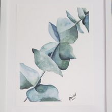 My project in Naturalist Illustrations with Watercolors: Drawing and Composition course. Un proyecto de Ilustración tradicional, Dibujo, Pintura a la acuarela e Ilustración naturalista				 de Adeline Neufeld - 26.05.2021