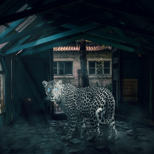 My project in Secrets of Photomontage and Creative Retouching course. Photograph, Photograph, Post-production, VFX, Photo Retouching, Fine-Art Photograph, Photographic Composition, and Photomontage project by Bhagyesh Chandane - 05.24.2021