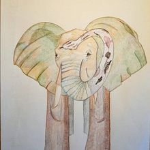 Il mio progetto del corso: Illustrazione surrealista ispirata alla natura. Een project van Traditionele illustratie, Tekening met potlood,  Tekening,  Artistieke tekening y Naturalistische illustratie van Tosca D'Aprile - 27.05.2021