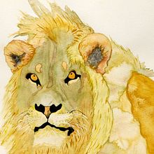 Grand lion africain - VENDU (SOLD). Traditional illustration, and Watercolor Painting project by Dominique Martel - 05.27.2021