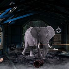 Fotomontage . Photograph, Photograph, Post-production, VFX, Photo Retouching, Fine-Art Photograph, Photographic Composition, and Photomontage project by Jonathan Ferman - 05.26.2021