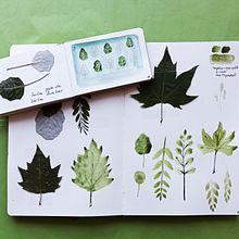 Mi Proyecto del curso: Cuaderno botánico. Traditional illustration, Watercolor Painting, Botanical Illustration, and Sketchbook project by Maribel Tornero Brugués - 05.30.2021