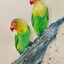 Mi Proyecto del curso: Acuarela artística para ilustración de aves. Un proyecto de Ilustración tradicional, Pintura a la acuarela, Dibujo realista e Ilustración naturalista				 de lorenavazquezpuell - 27.05.2021