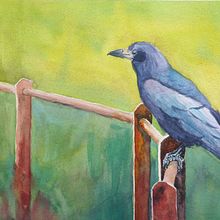 Crows, rooks and ravens. Painting, Watercolor Painting, Traditional illustration, Drawing, Ink Illustration, and Naturalistic Illustration project by Marie-Hélène Brohan Delhaye - 05.28.2021