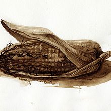 Corn in bister Ein Projekt aus dem Bereich Traditionelle Illustration und Malerei von Mertens Guus - 28.05.2021