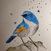 Mi Proyecto del curso: Acuarela artística para ilustración de aves. Traditional illustration, Watercolor Painting, Realistic Drawing, and Naturalistic Illustration project by Monica Gallegos - 05.28.2021