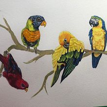 Bird Watercolor #2. Naturalistic Illustration project by John Keselyak - 05.28.2021