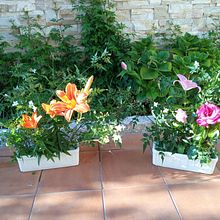 DOS CENTROS PRIMAVERALES. Interior Design, L, scape Architecture, Decoration, and DIY project by Ana Maria del Pino Corrochano - 05.29.2021