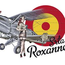 Srta. Roxane. Un progetto di Illustrazione tradizionale, Fotografia, Direzione artistica, Graphic design, Ritocco fotografico, Fashion design, Fotografia artistica, Composizione fotografica e Fotomontaggio di Belén Valiente Rodríguez - 29.05.2021