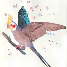 Mein Kursprojekt: Illustriere Vögel mit expressiven Aquarelltechniken. Projekt z dziedziny Trad, c, jna ilustracja, Malowanie akwarelą, R, sunek realist, czn, Ilustracja naturalist i czna użytkownika Claudia Tropiano - 30.05.2021