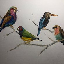 Bird watercolor #3. Naturalistic Illustration, Painting, and Watercolor Painting project by John Keselyak - 06.01.2021
