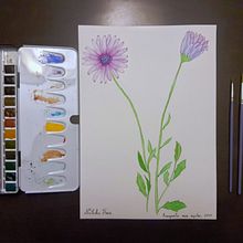 Mi Proyecto del curso: Acuarela botánica: ilustra la anatomía de las flores. Un progetto di Illustrazione tradizionale, Belle arti, Pittura, Disegno, Pittura ad acquerello e Illustrazione botanica di Nathalia Freire Iturriaga - 31.05.2021