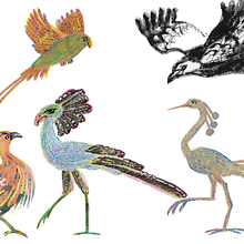 My Animal Universe. Projekt z dziedziny Design, Trad, c, jna ilustracja,  Sztuki piękne,  Malarstwo, Kreat, wność, Kreat, wne zabaw, z dziećmi i Sketchbook użytkownika Jennie Harborth - 29.05.2021
