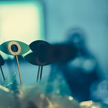 REEL Ein Projekt aus dem Bereich Kino, Video und TV von Sara Ossa - 01.06.2021