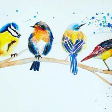 Mi Proyecto del curso: Acuarela artística para ilustración de aves. Un progetto di Illustrazione tradizionale, Pittura ad acquerello, Disegno realistico e Illustrazione naturalistica di vivibesmadrigal - 01.06.2021
